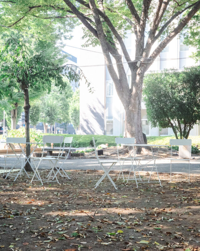 今年も甲府のまちなかで社会実験が始まります