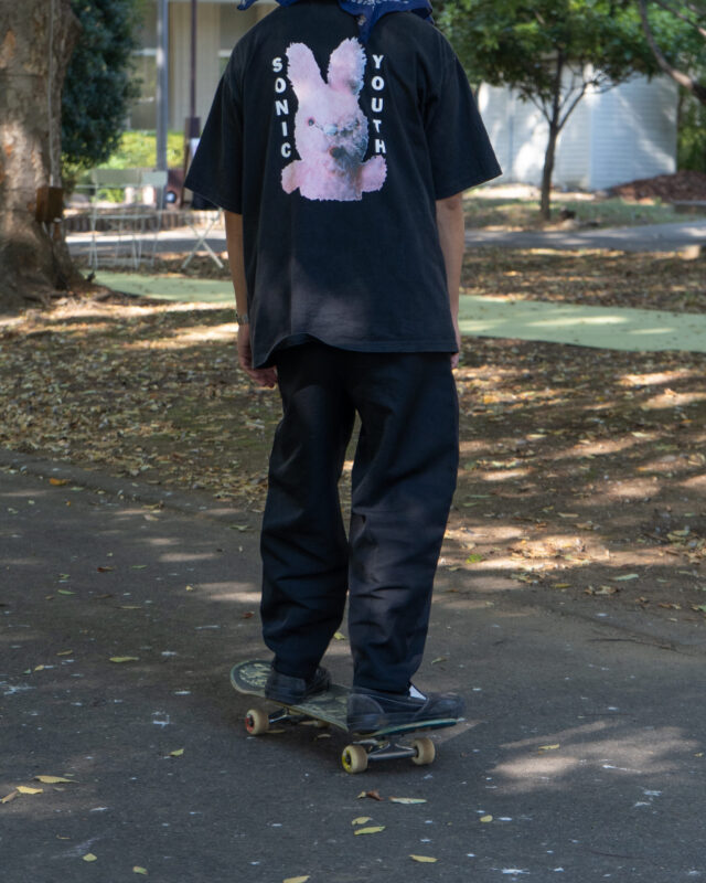 今年も甲府のまちなかで社会実験が始まります