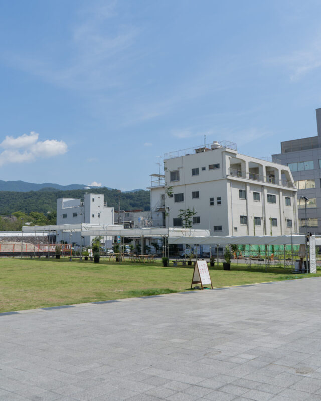 今年も甲府のまちなかで社会実験が始まります