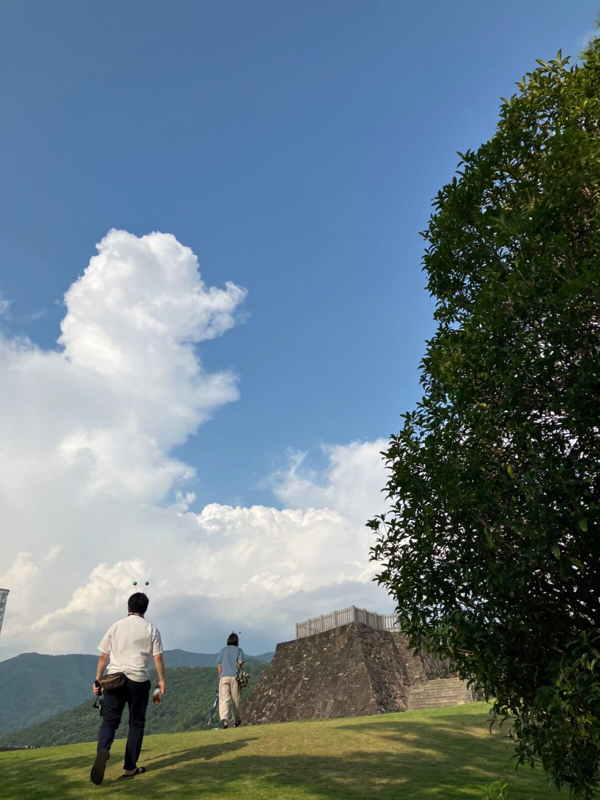 引き寄せられるように上に向かいます。