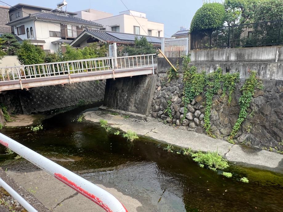 さよなら…また会おうね