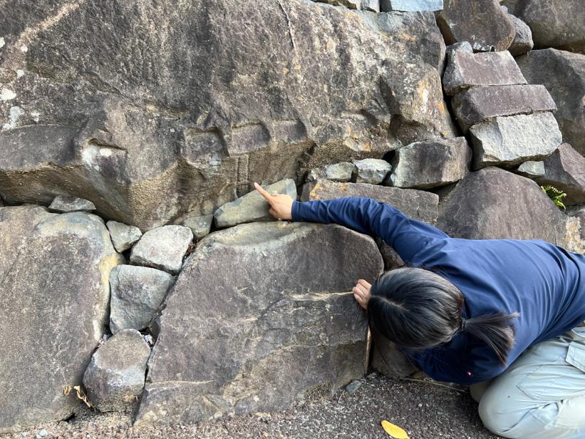 人目をはばからず覗き込んでほしい!下から見て!