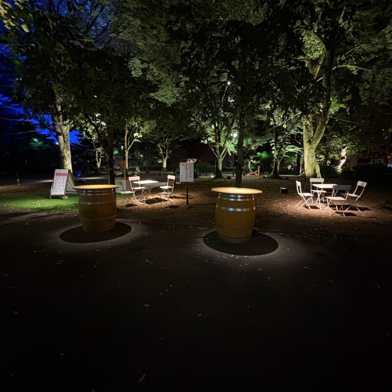 「甲府まちなか社会実験2025」の効果検証レポートを公開します!